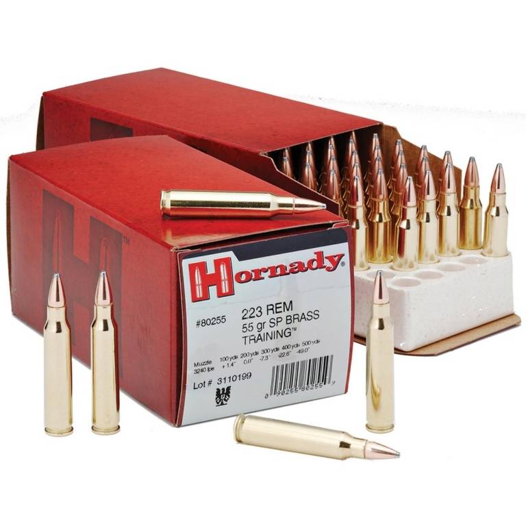 223 Remington SP Custom 55 gr 