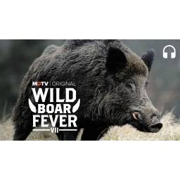 Wild Boar Fever - USA